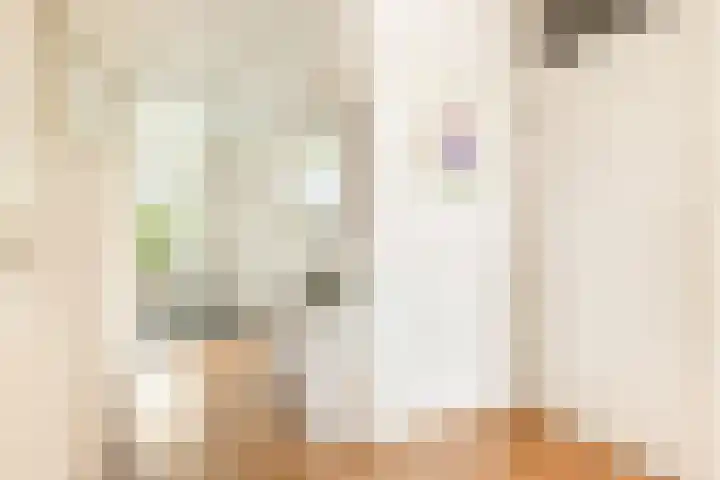 Dotterbloem 6 Velserbroek thumbnail 16