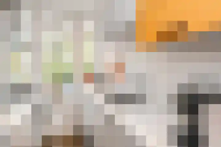 Dotterbloem 6 Velserbroek thumbnail 19