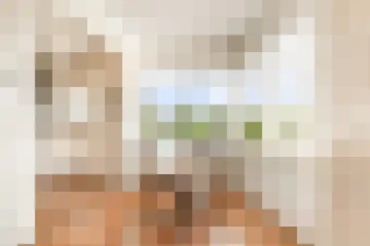 Dotterbloem 6 Velserbroek thumbnail 19