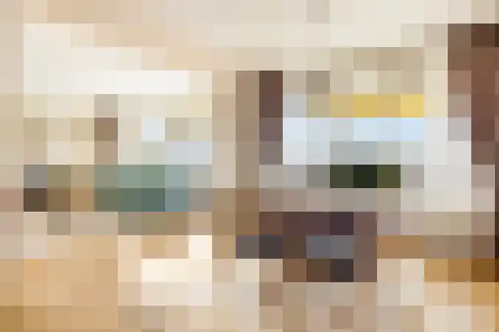 Dotterbloem 6 Velserbroek thumbnail 31