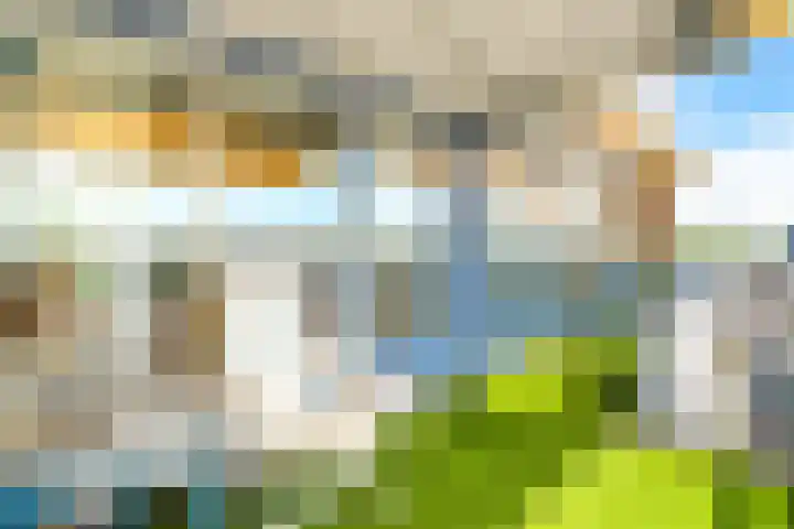 Dotterbloem 6 Velserbroek thumbnail 32