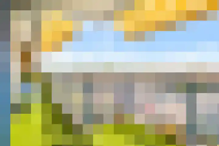 Dotterbloem 6 Velserbroek thumbnail 33