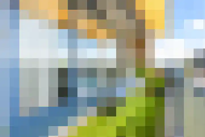 Dotterbloem 6 Velserbroek thumbnail 35