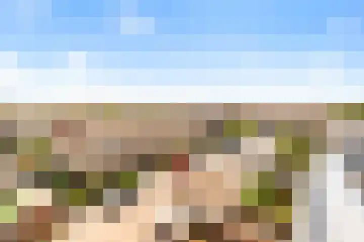 Dotterbloem 6 Velserbroek thumbnail 36