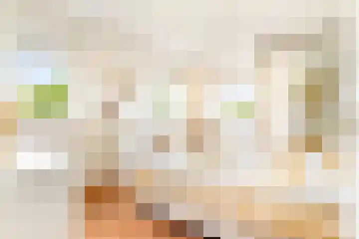 Dotterbloem 6 Velserbroek thumbnail 37