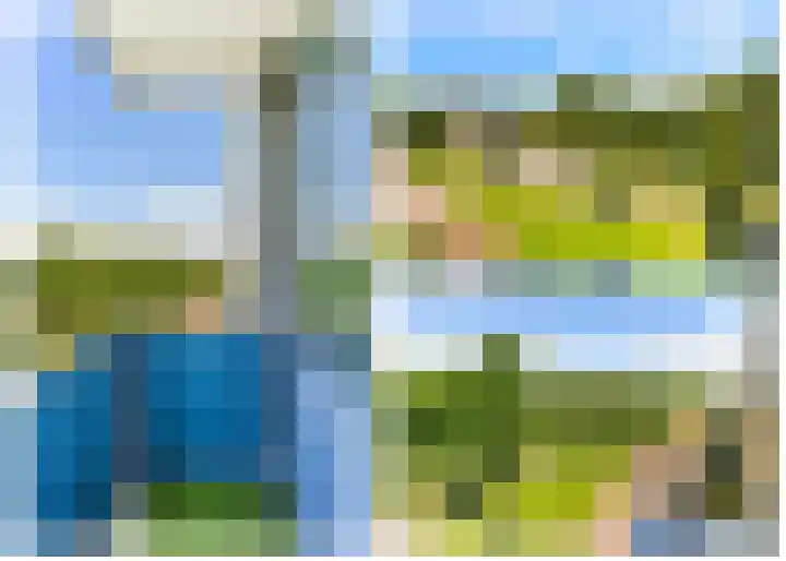 Dotterbloem 6 Velserbroek thumbnail 46