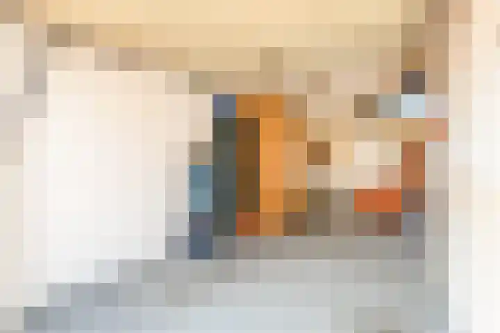 Dotterbloem 6 Velserbroek thumbnail 48