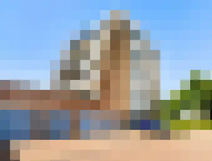 Dotterbloem 6 Velserbroek thumbnail 49