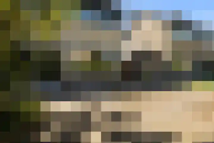 Dotterbloem 6 Velserbroek thumbnail 53