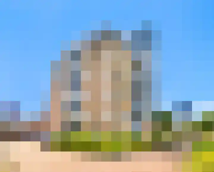 Dotterbloem 6 Velserbroek thumbnail 6