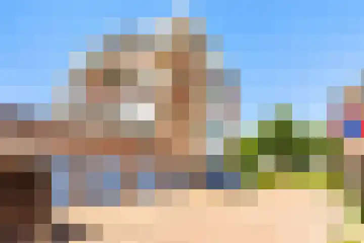 Dotterbloem 6 Velserbroek thumbnail 7