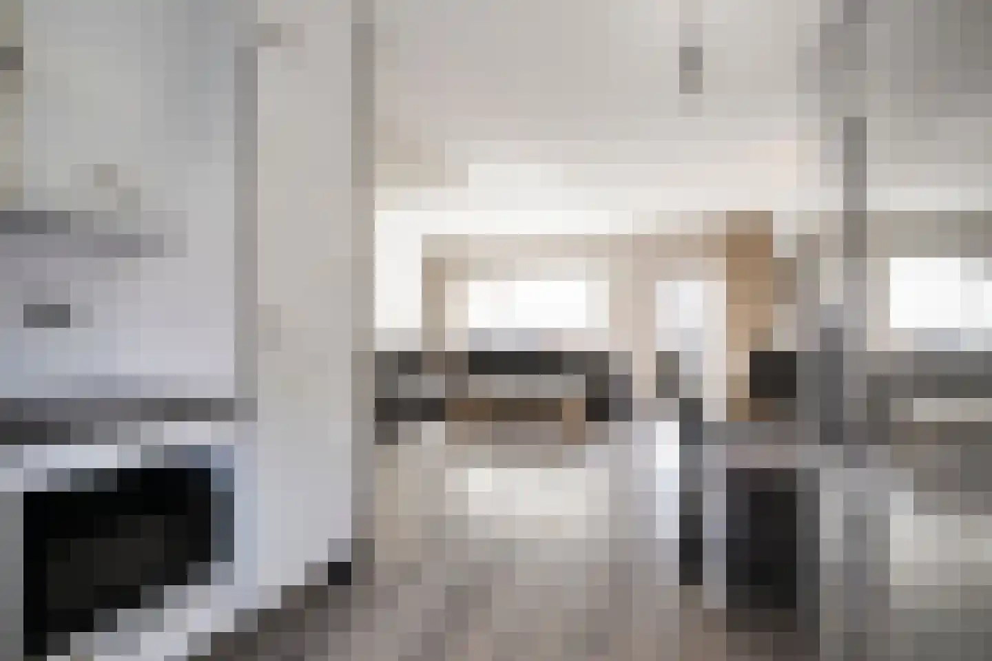 Dotterbloem 7 Purmerend thumbnail 14