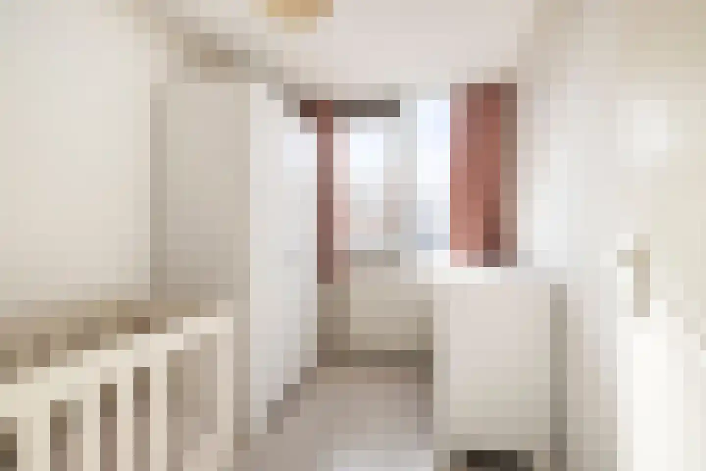 Dotterbloem 7 Purmerend thumbnail 16