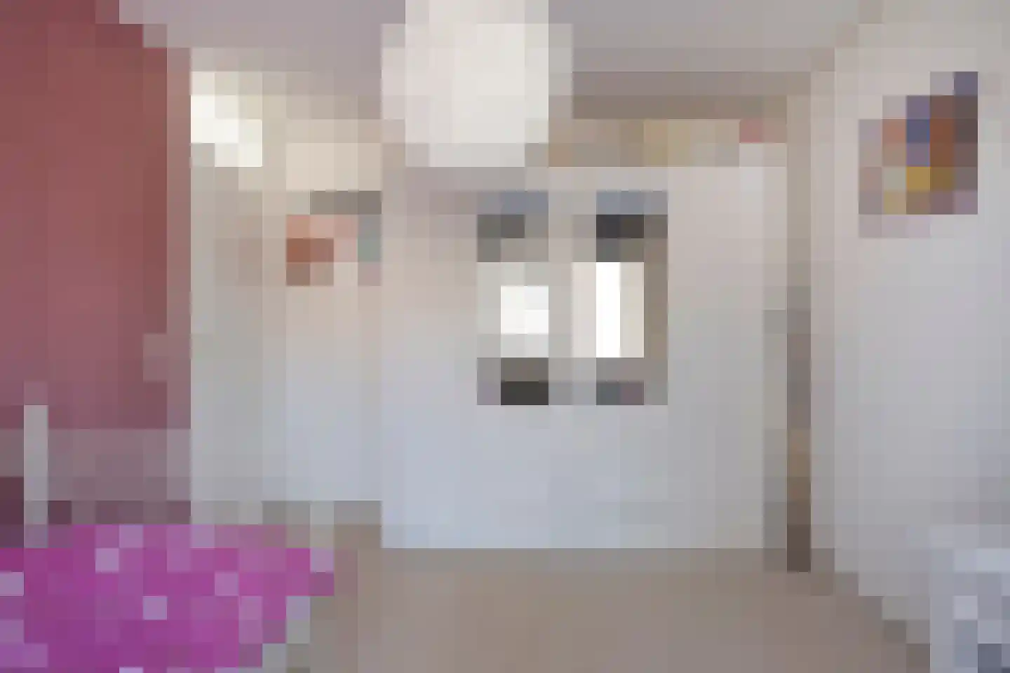 Dotterbloem 7 Purmerend thumbnail 21