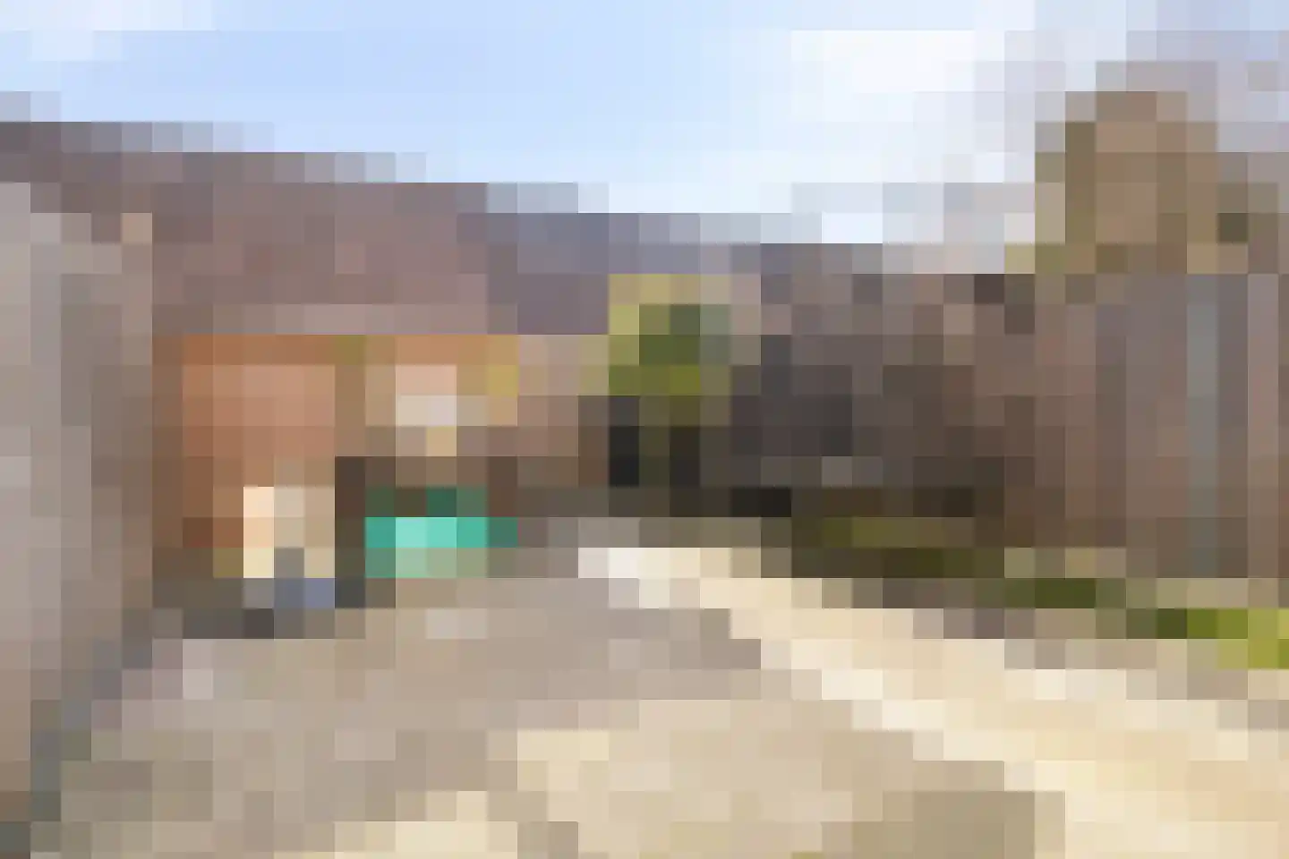 Dotterbloem 7 Purmerend thumbnail 30