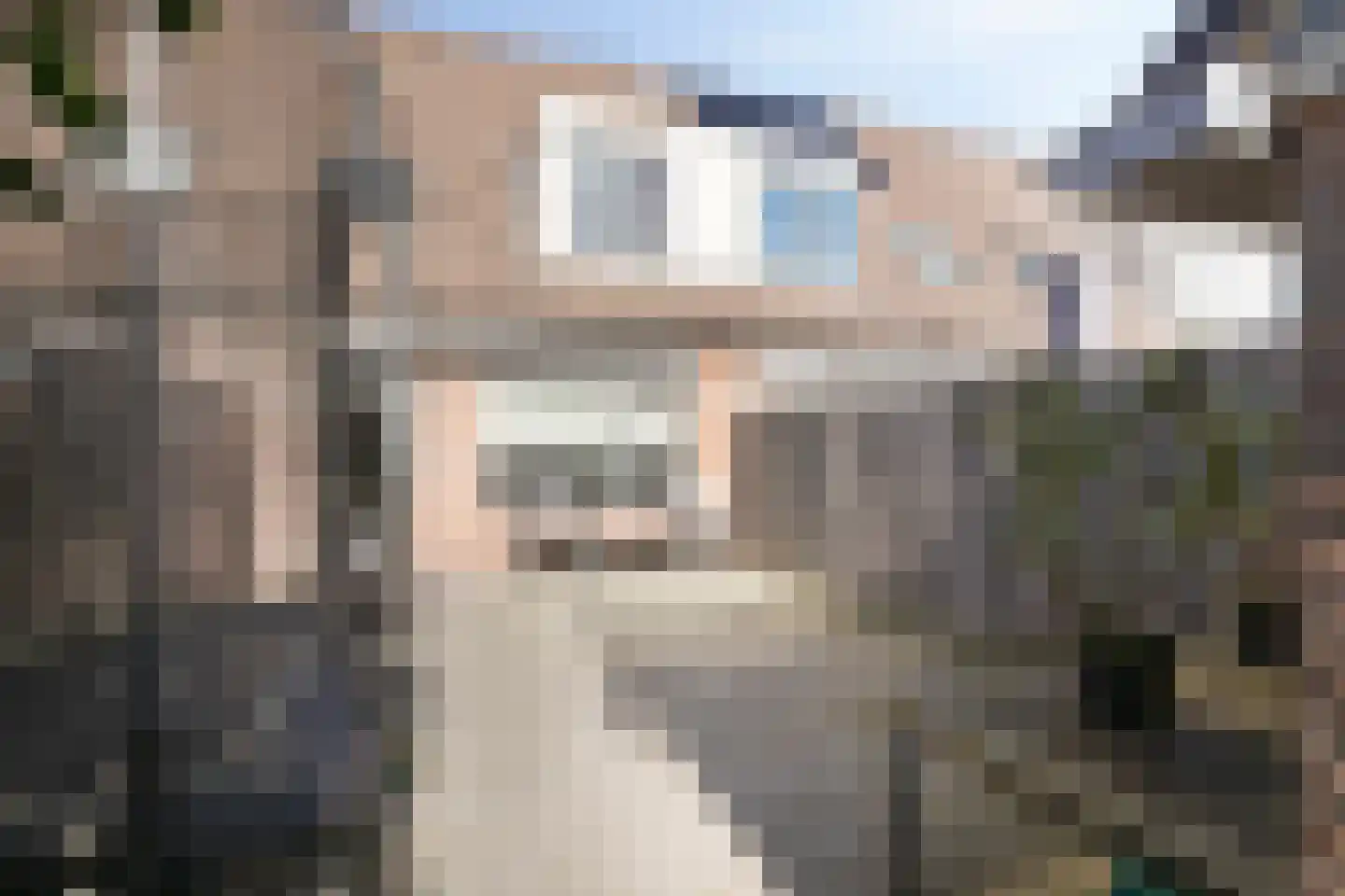 Dotterbloem 7 Purmerend thumbnail 31