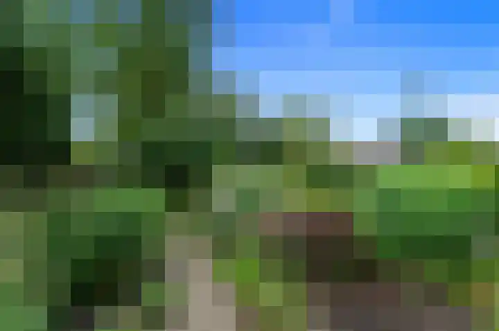 Dotterbloem 7 Scheemda thumbnail 36