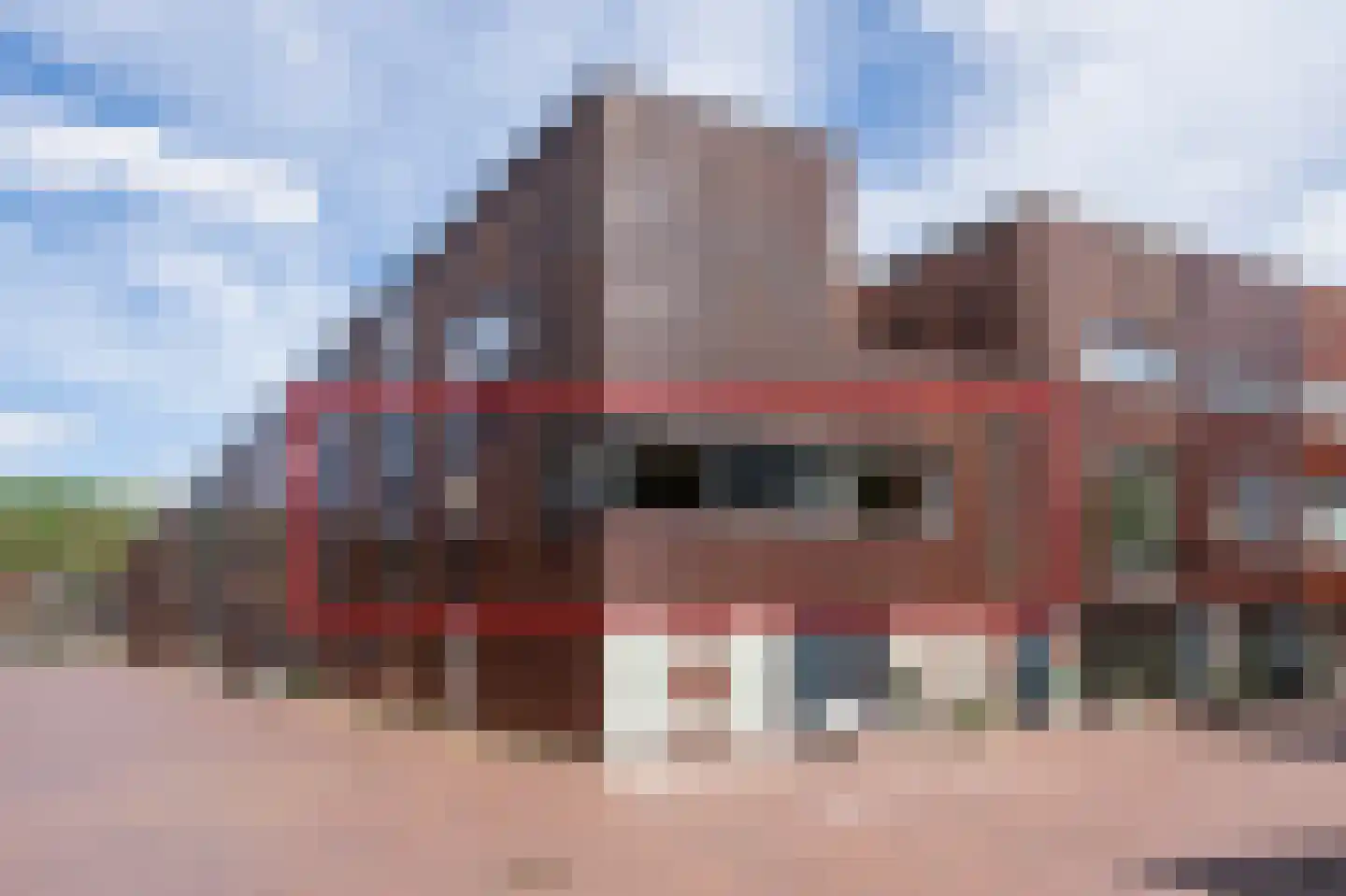 Dotterbloem 9 in Papendrecht
