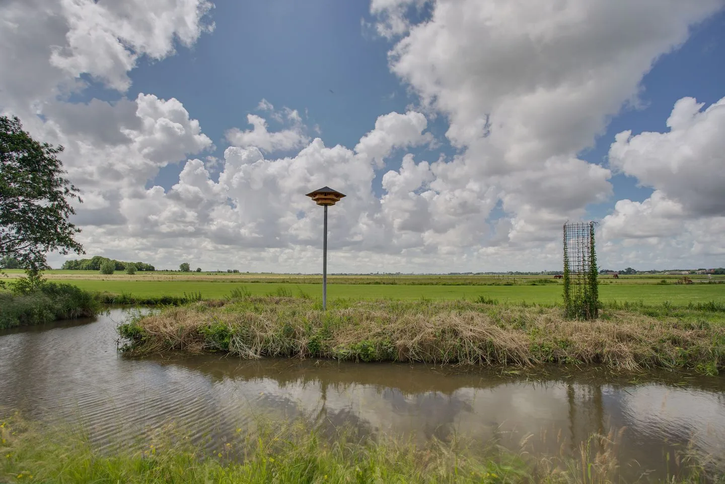 Dotterbloem 9 Leidschendam thumbnail 50