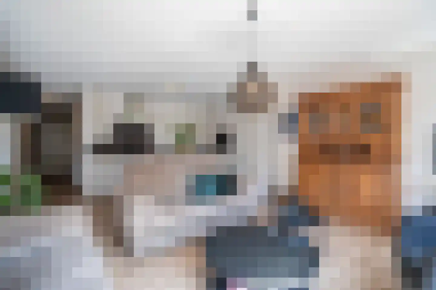 Dotterbloem 9 Papendrecht thumbnail 10