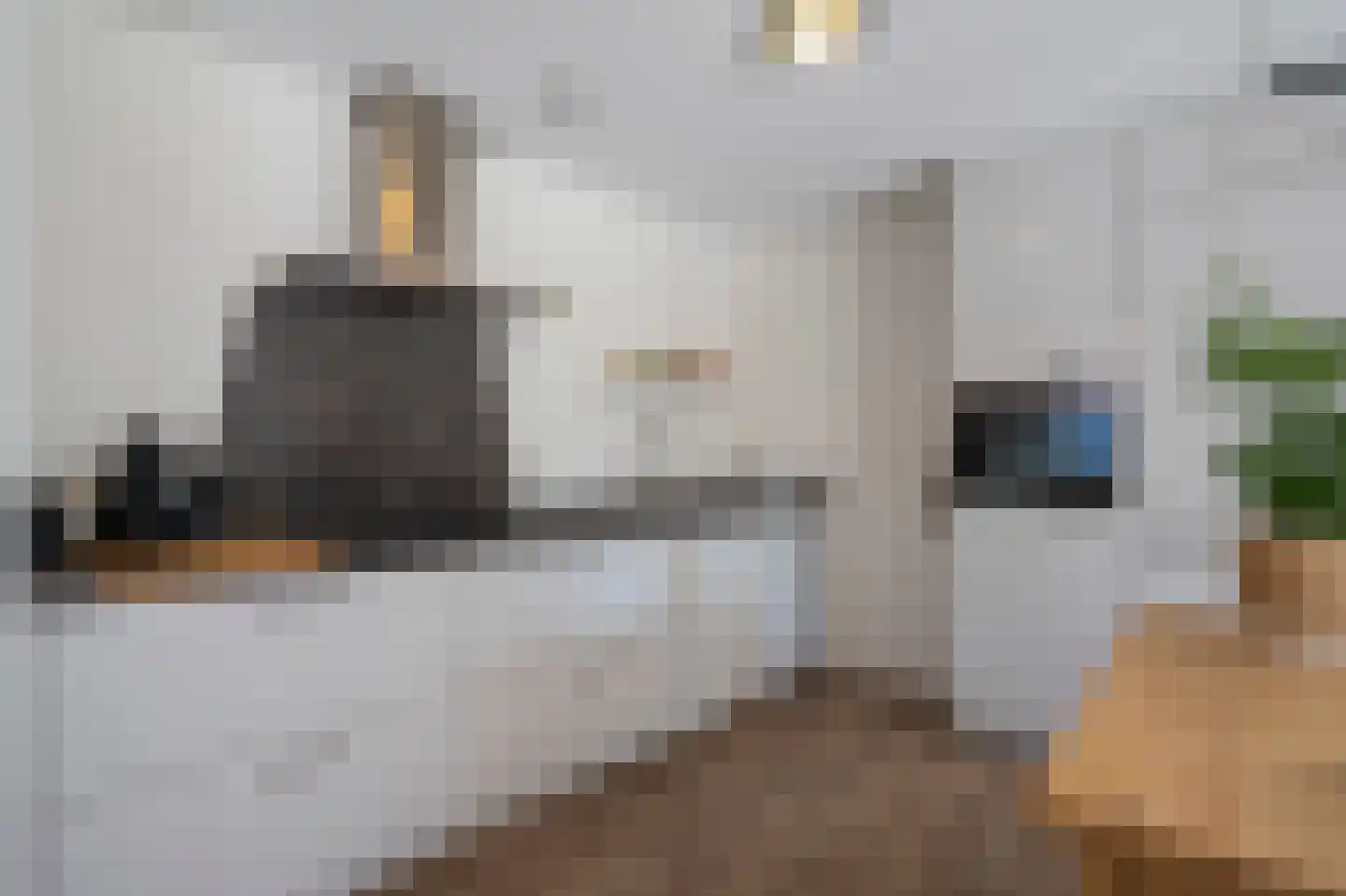 Dotterbloem 9 Papendrecht thumbnail 11