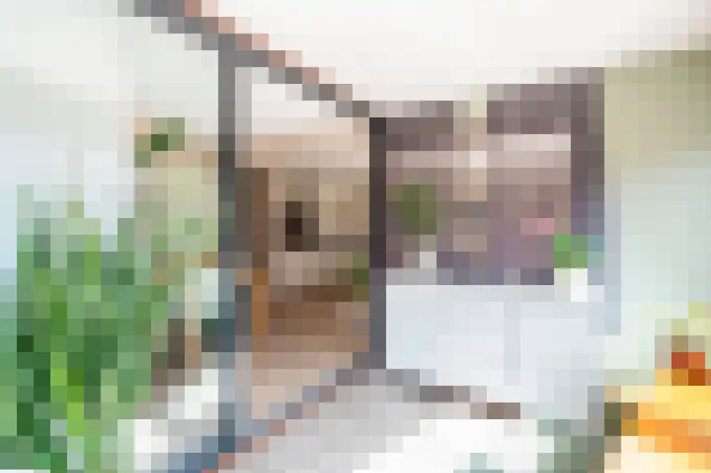 Dotterbloem 9 Papendrecht thumbnail 17