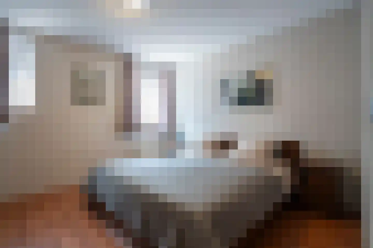 Dotterbloem 9 Papendrecht thumbnail 18