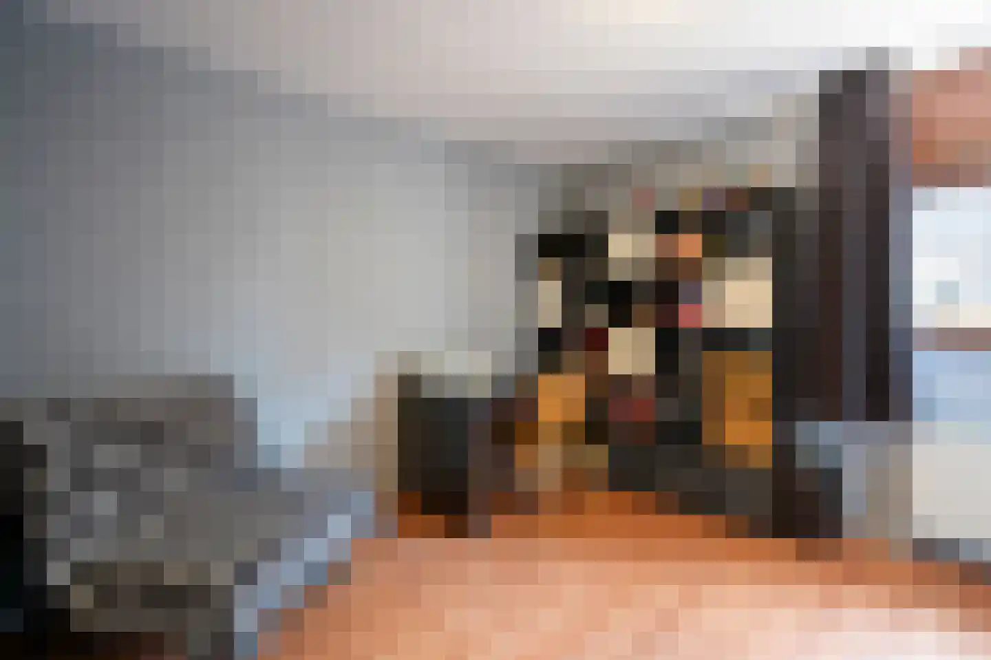 Dotterbloem 9 Papendrecht thumbnail 20