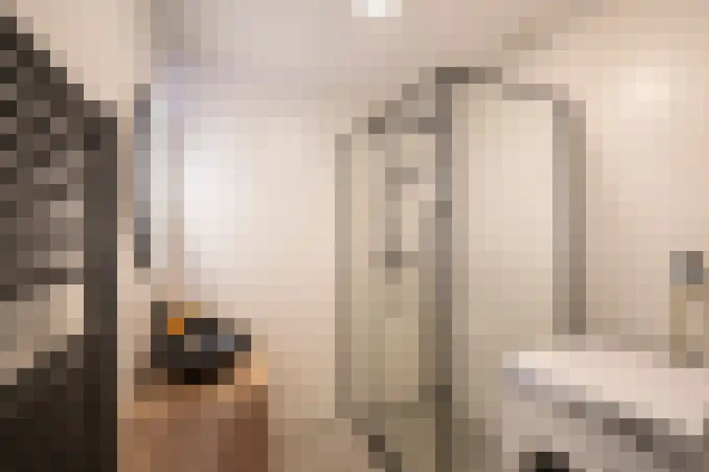 Dotterbloem 9 Papendrecht thumbnail 22