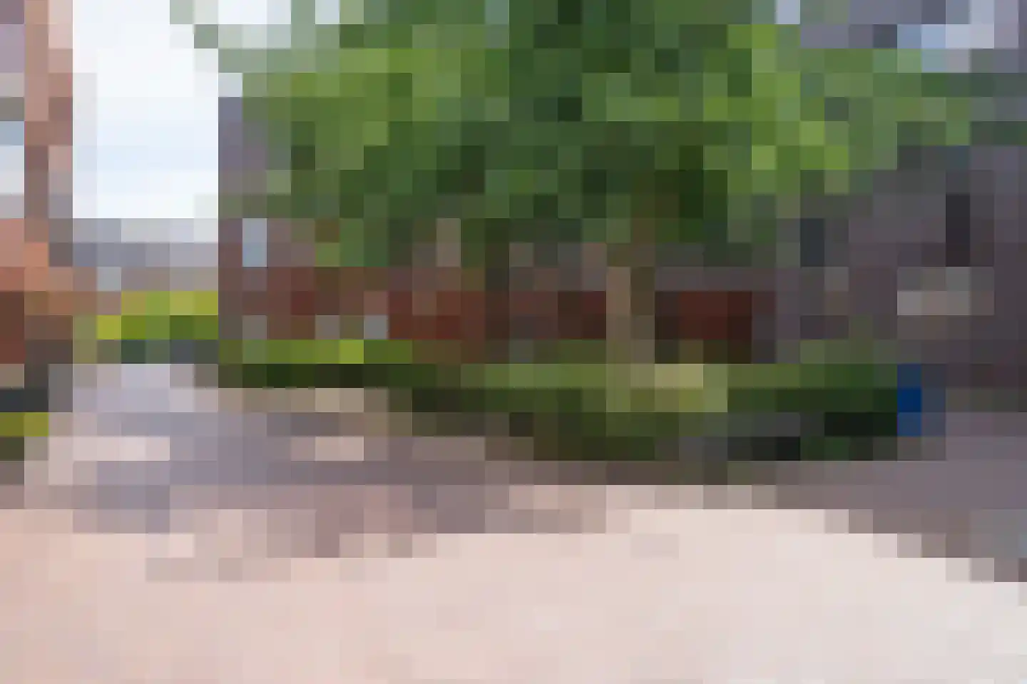 Dotterbloem 9 Papendrecht thumbnail 29