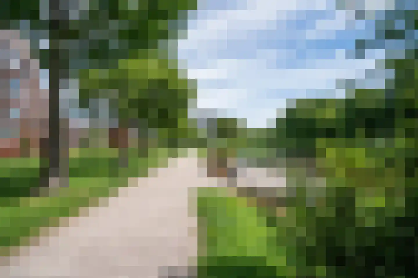 Dotterbloem 9 Papendrecht thumbnail 30