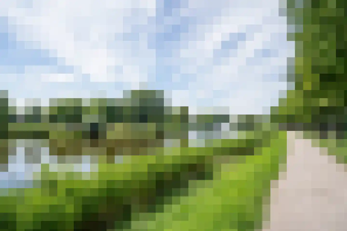Dotterbloem 9 Papendrecht thumbnail 6
