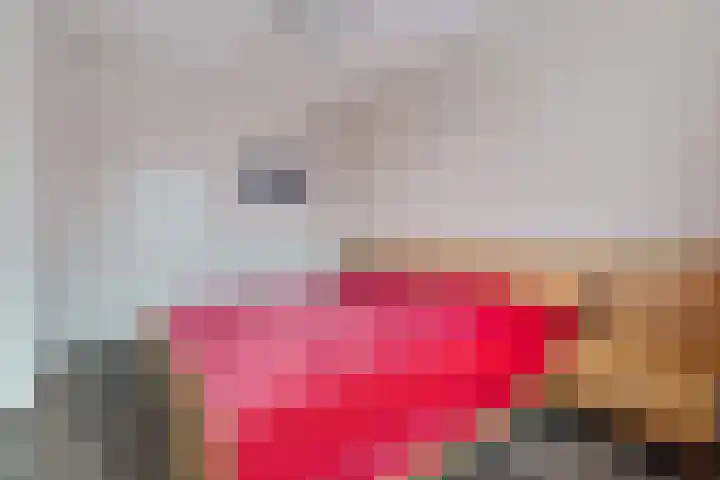 Dotterbloemdreef 11 Harderwijk thumbnail 21