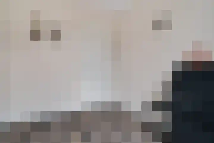 Dotterbloemdreef 11 Harderwijk thumbnail 26