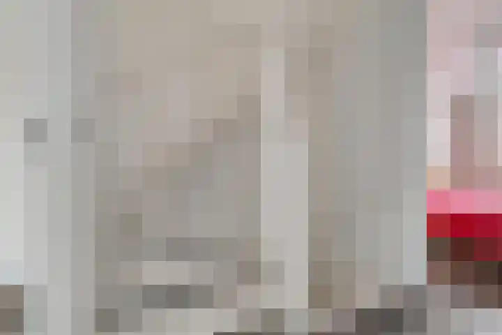 Dotterbloemdreef 11 Harderwijk thumbnail 31