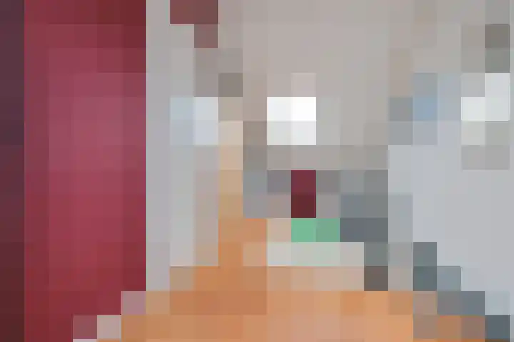 Dotterbloemdreef 11 Harderwijk thumbnail 34