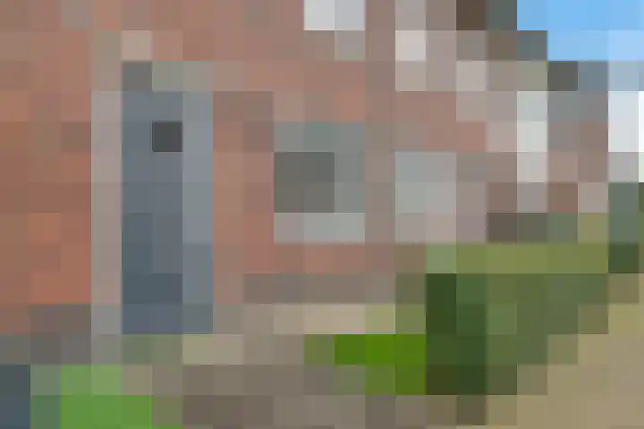 Dotterbloemdreef 11 Harderwijk thumbnail 4
