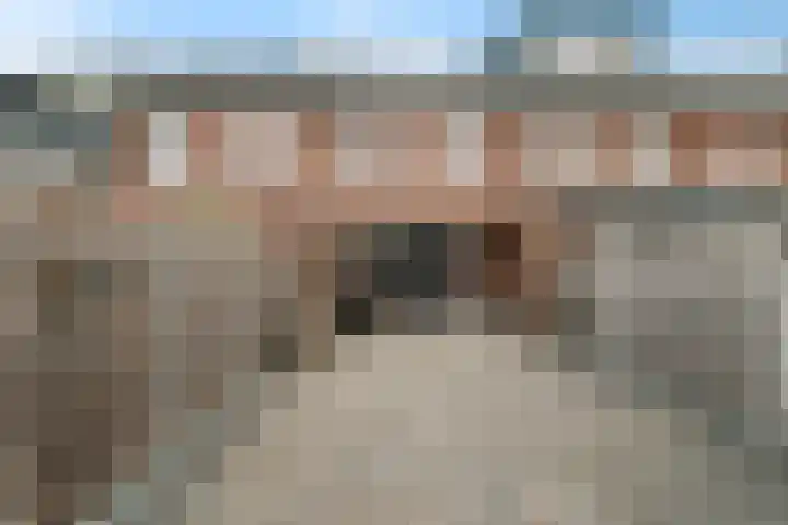 Dotterbloemdreef 11 Harderwijk thumbnail 40
