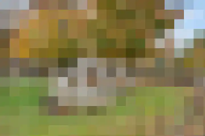 Dotterbloemdreef 11 Harderwijk thumbnail 41