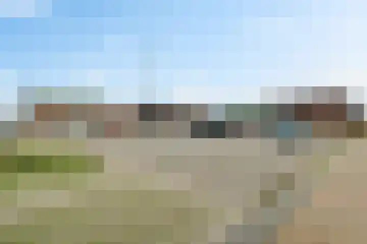 Dotterbloemdreef 11 Harderwijk thumbnail 42