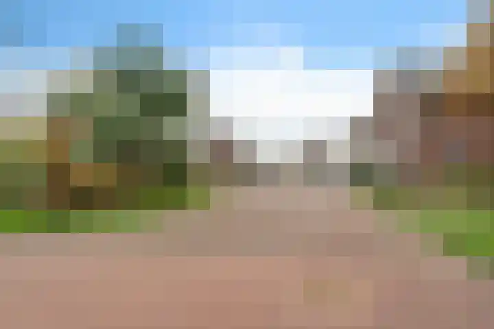 Dotterbloemdreef 11 Harderwijk thumbnail 43