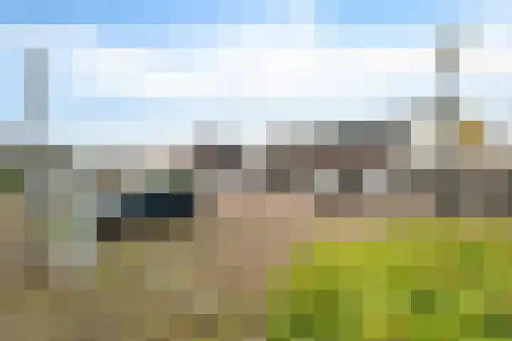 Dotterbloemdreef 11 Harderwijk thumbnail 44