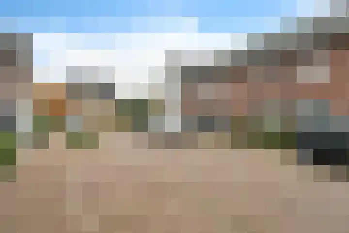 Dotterbloemdreef 11 Harderwijk thumbnail 45