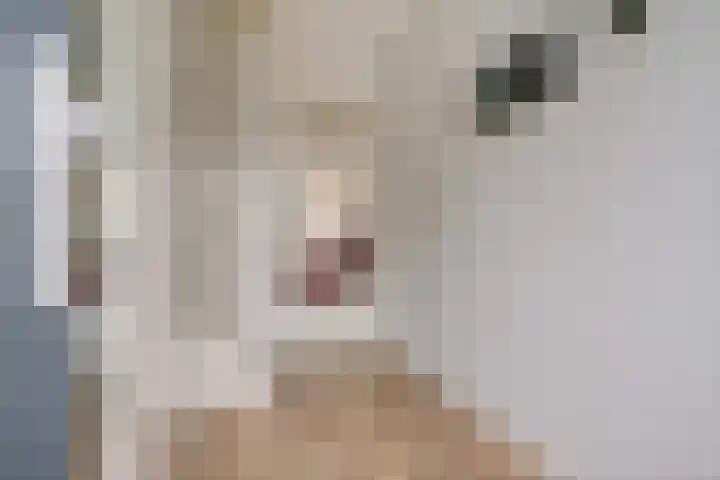 Dotterbloemdreef 11 Harderwijk thumbnail 5