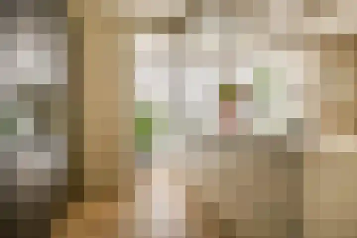 Dotterbloemdreef 17 Harderwijk thumbnail 11