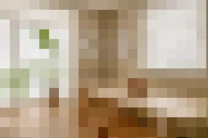Dotterbloemdreef 17 Harderwijk thumbnail 14