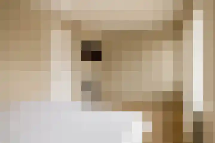 Dotterbloemdreef 17 Harderwijk thumbnail 19