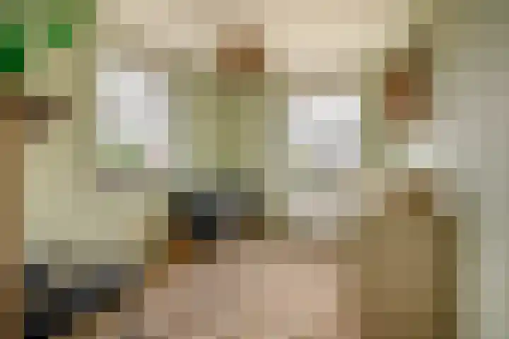 Dotterbloemdreef 17 Harderwijk thumbnail 21
