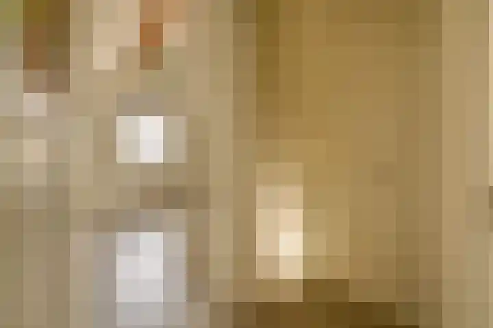 Dotterbloemdreef 17 Harderwijk thumbnail 22