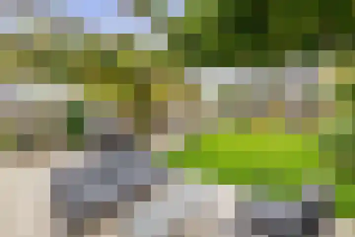 Dotterbloemdreef 17 Harderwijk thumbnail 27